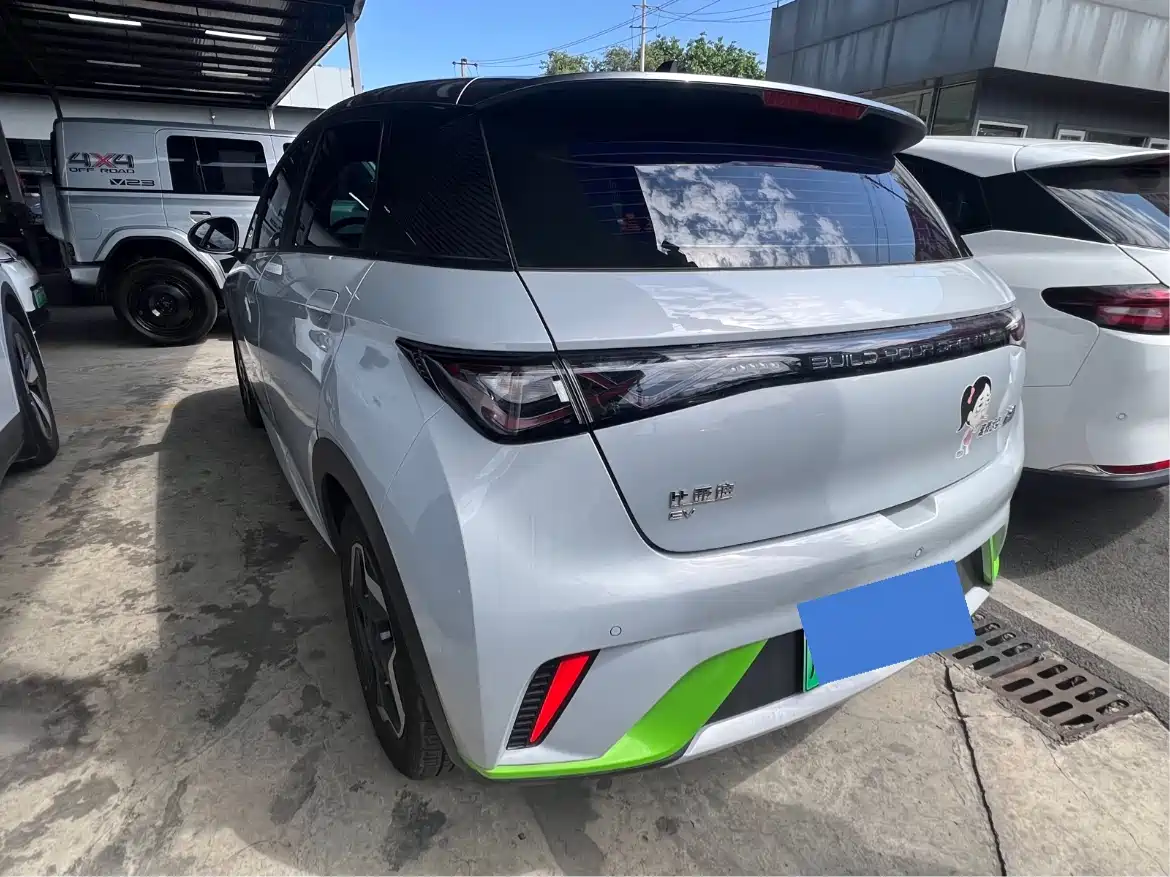 BYD Dolphin 2021 Model 405km Fashion Edition фото 4