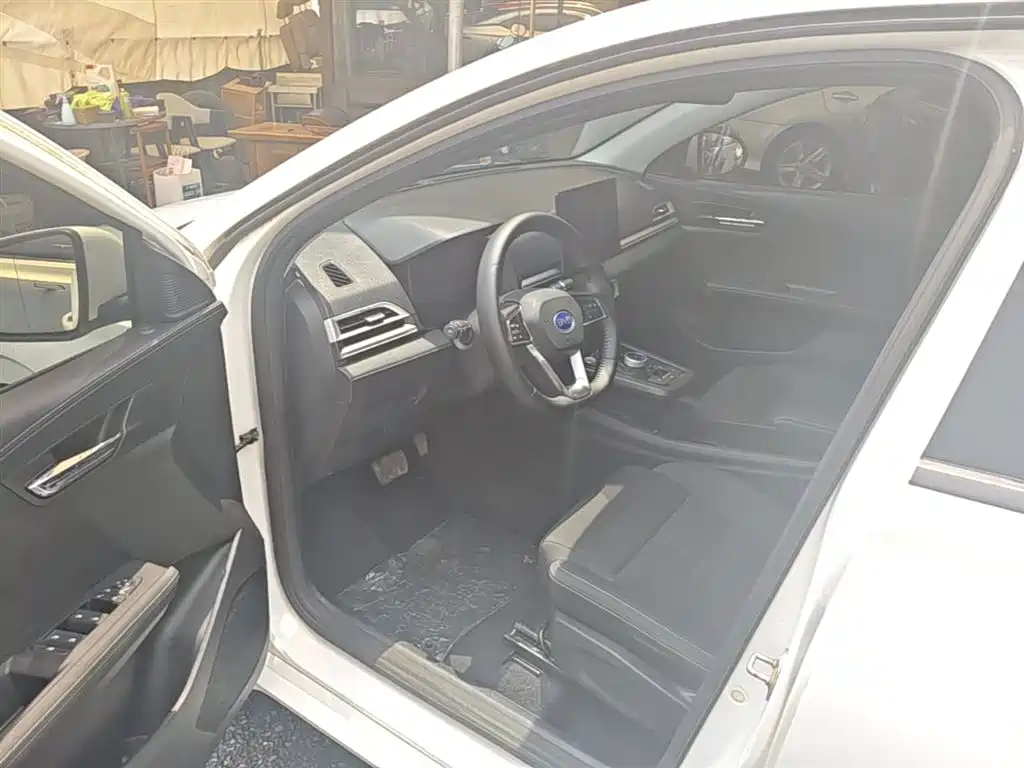 BYD e2 2021 Comfort Model фото 16