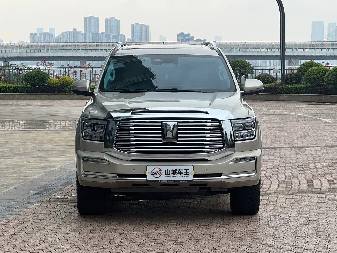 Tank 500 2023 3.0T Business Edition (5-seater) фото 2