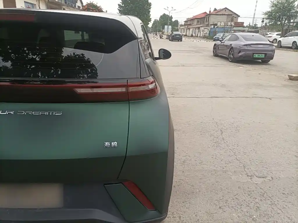 BYD Seagull 2024 Glory Edition 405km Soaring Edition фото 8