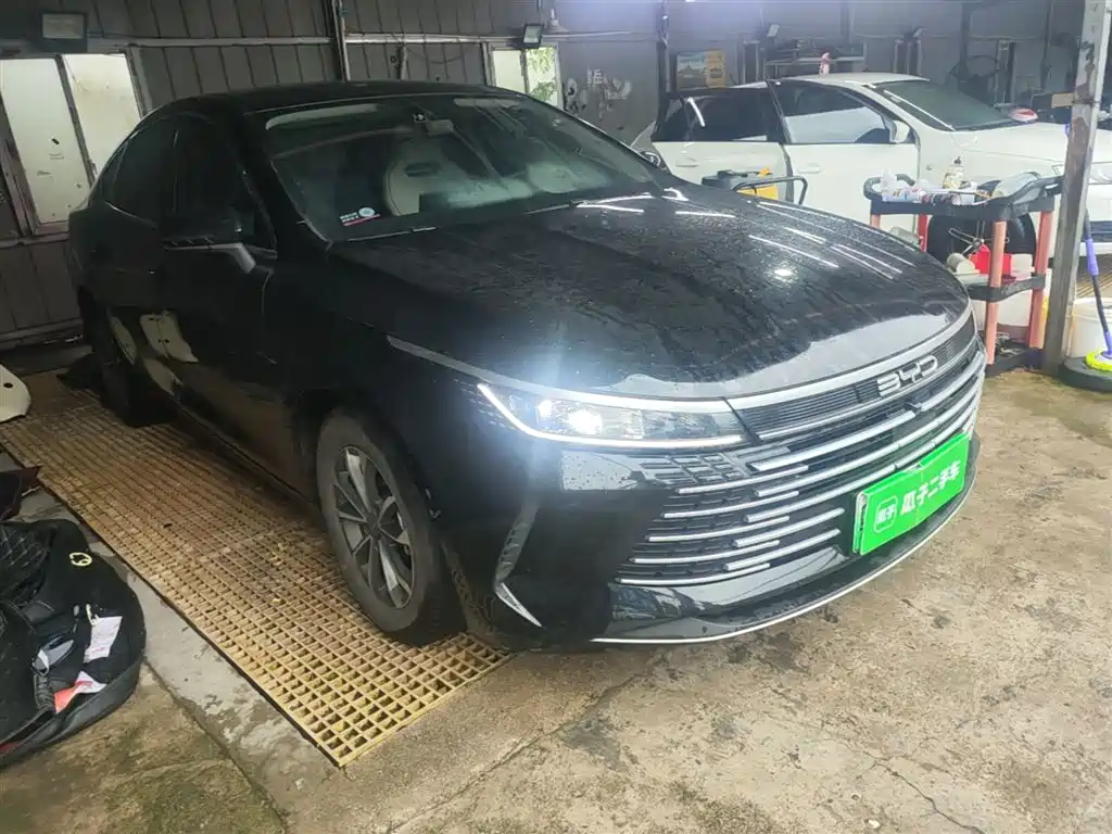 BYD Destroyer 05 2024 Glory Edition DM-i 55KM Luxury фото 4