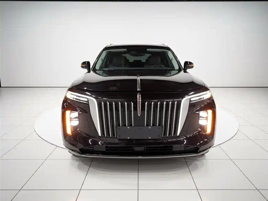 Hongqi E-HS9 2021 510km Flagship Comfort 6-seater фото 3