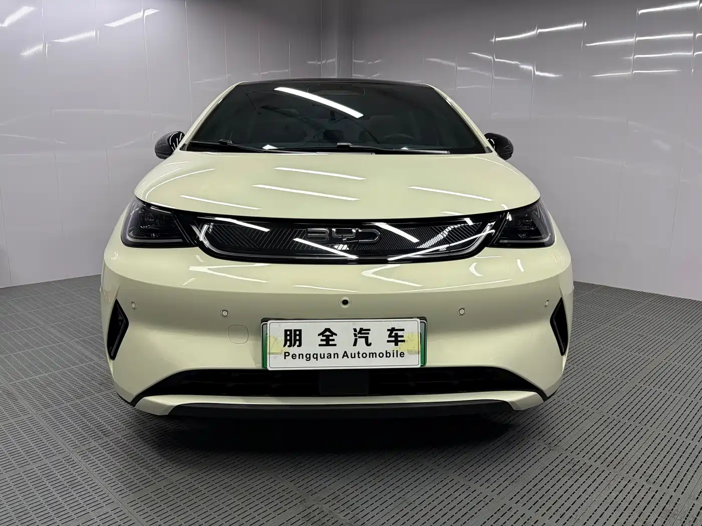 Фото 2 - BYD Dolphin