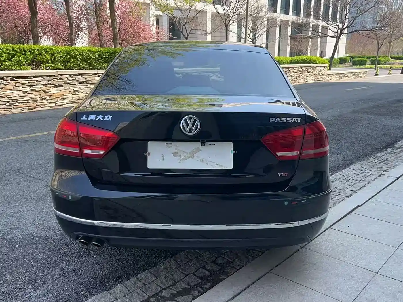 Volkswagen Passat 2014 1.8TSI DSG Luxury Edition фото 6