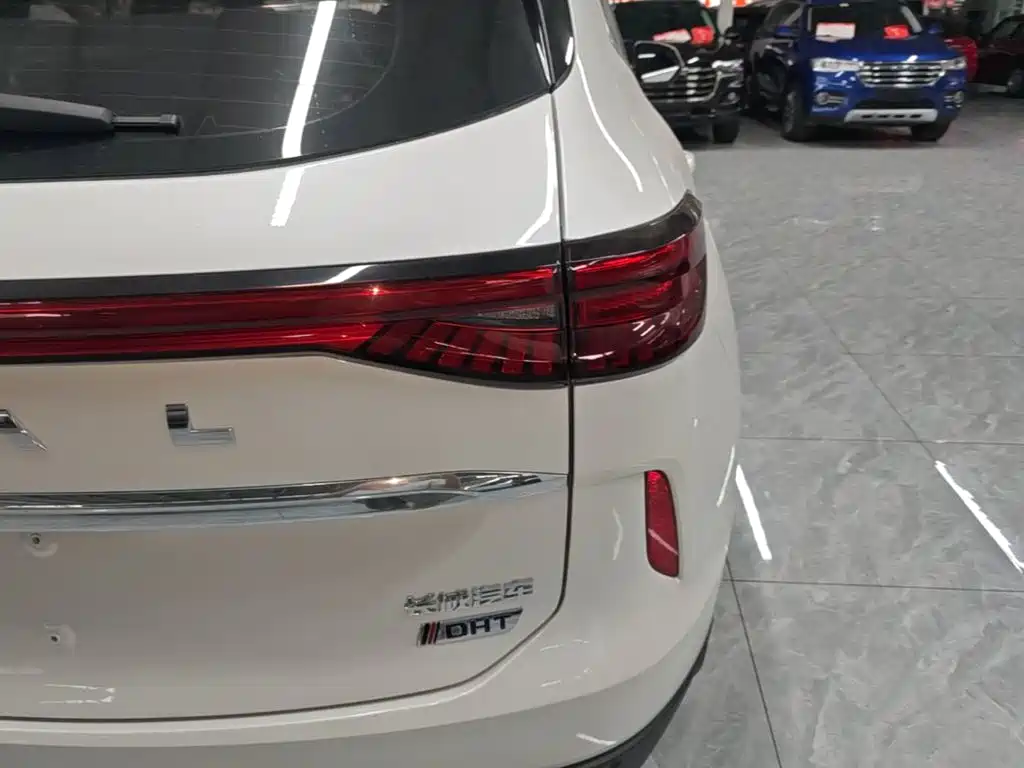 Haval H6 New Energy 2023 2023 DHT-PHEV 55KM Joy Ride Edition