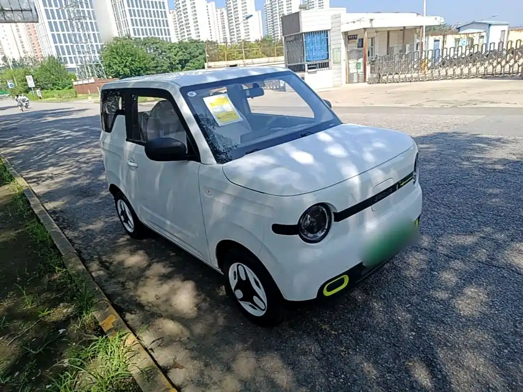 Geely Galaxy Panda 2026 2025 Panda mini 210km Vitality Bear