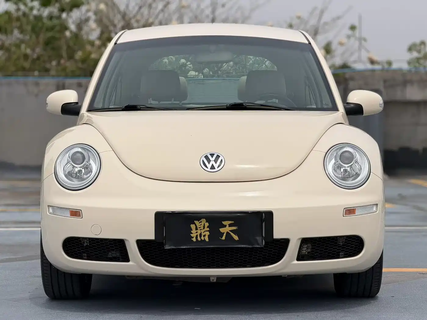 Volkswagen Beetle 2010 Model 1.6 AT фото 5