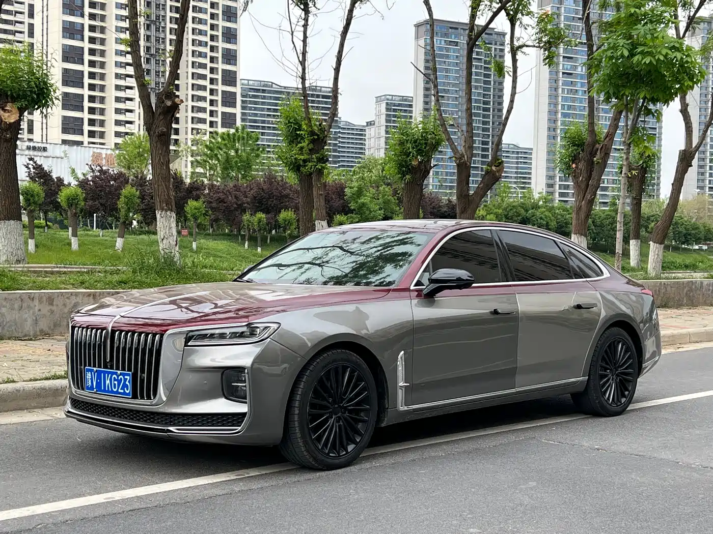 Hongqi H9 2020 2.0T Smart Connection Qi Xiang Edition
