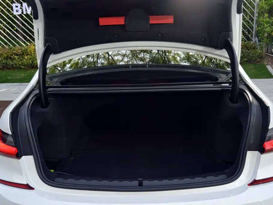 BMW 3 Series 2020 325i M Sport Black Night Package фото 13