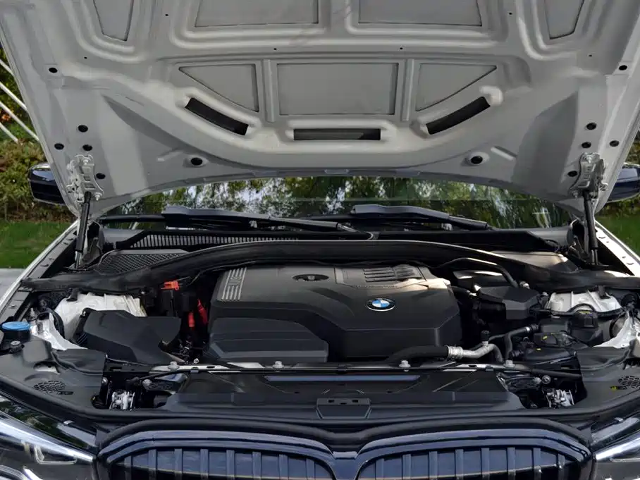 BMW 3 Series 2020 325i M Sport Black Night Package фото 14