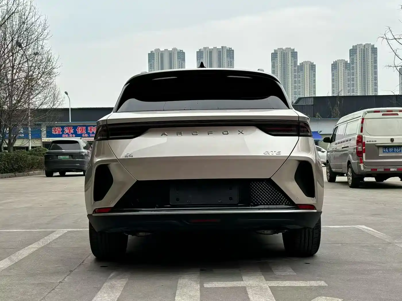 ARCFOX EXTREME FOX POLAR FOX ALPHA T6