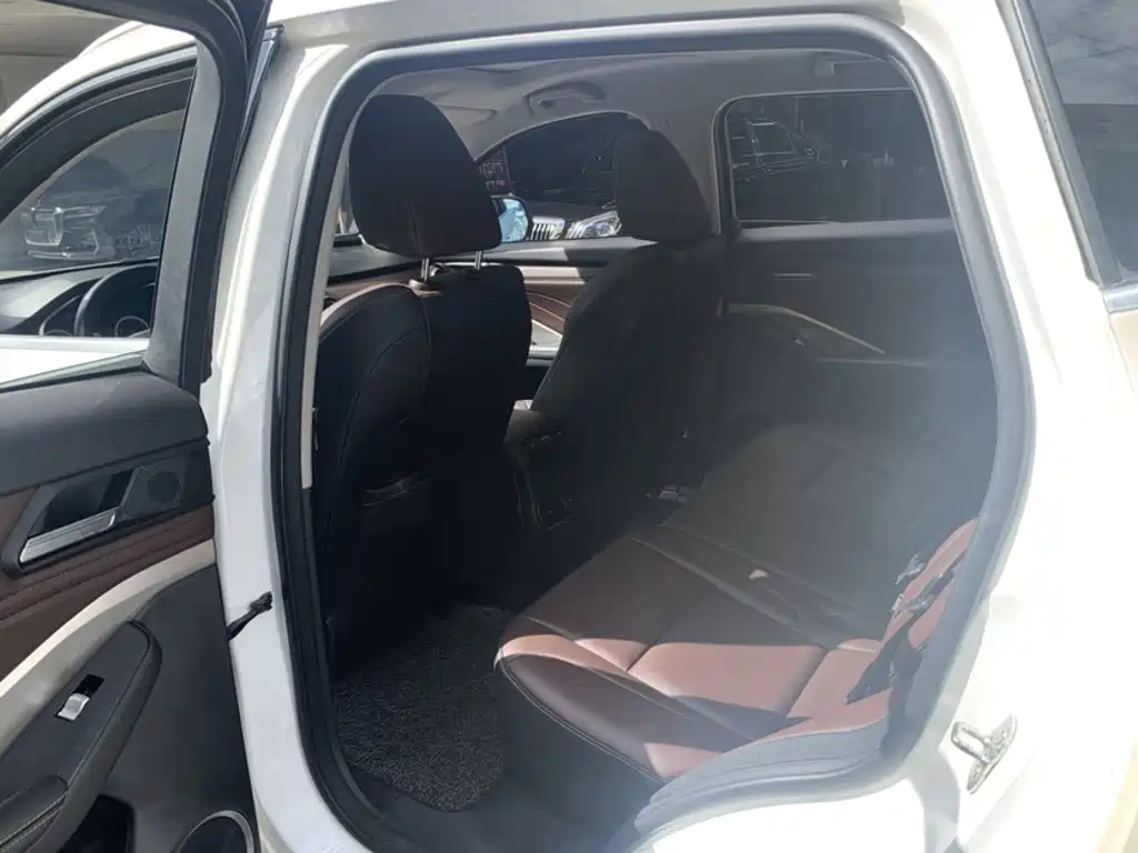 WEY VV6 2018 2018 2.0T 2WD Super Luxury China V