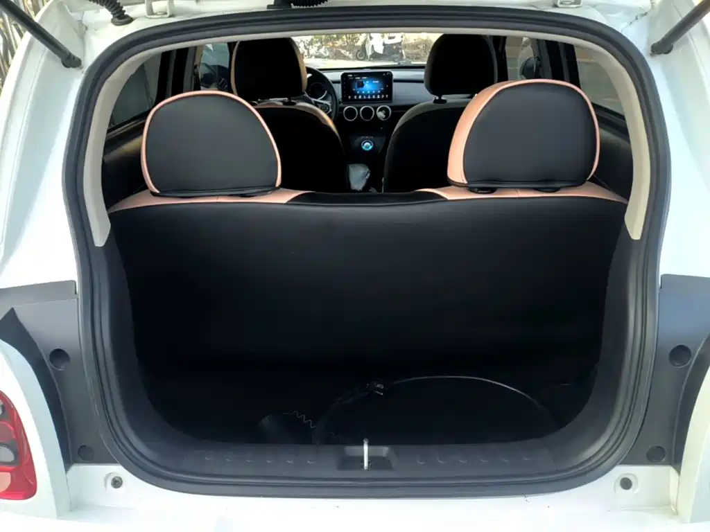 Ora Black Cat 2023 2022 301km Cute Edition LFP