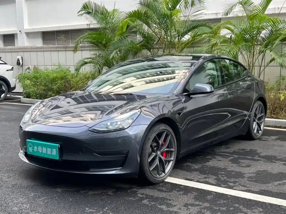 Tesla Model 3 2022