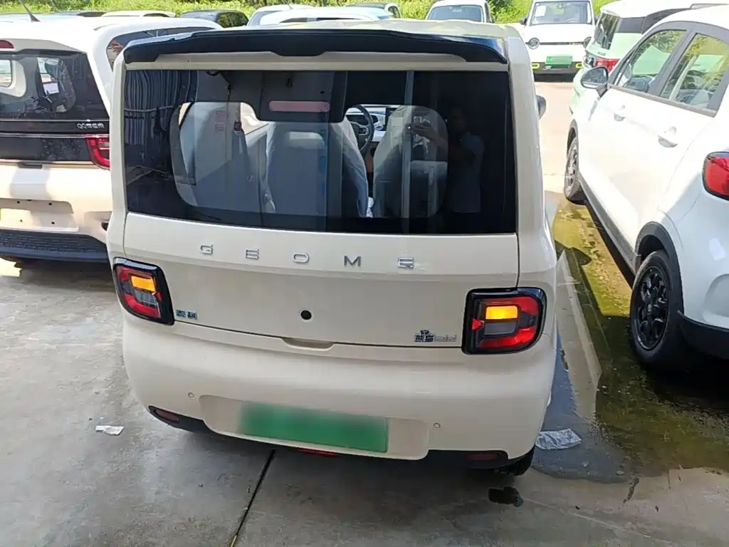 Geely Galaxy Panda 2026 2025 Panda mini 210km Vitality Bear