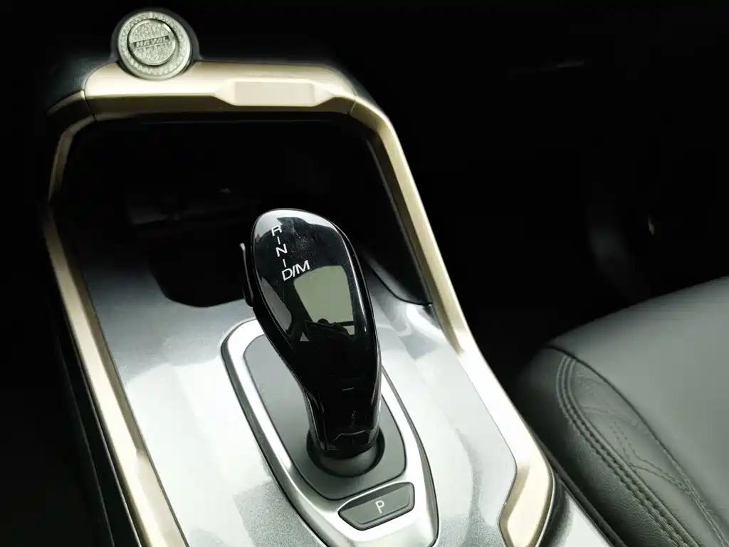 Haval H6 2020 1.5GDIT Automatic Platinum Champion Edition фото 13