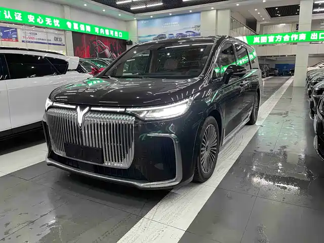 Voyah Auto Voyah Dreamer 2024
