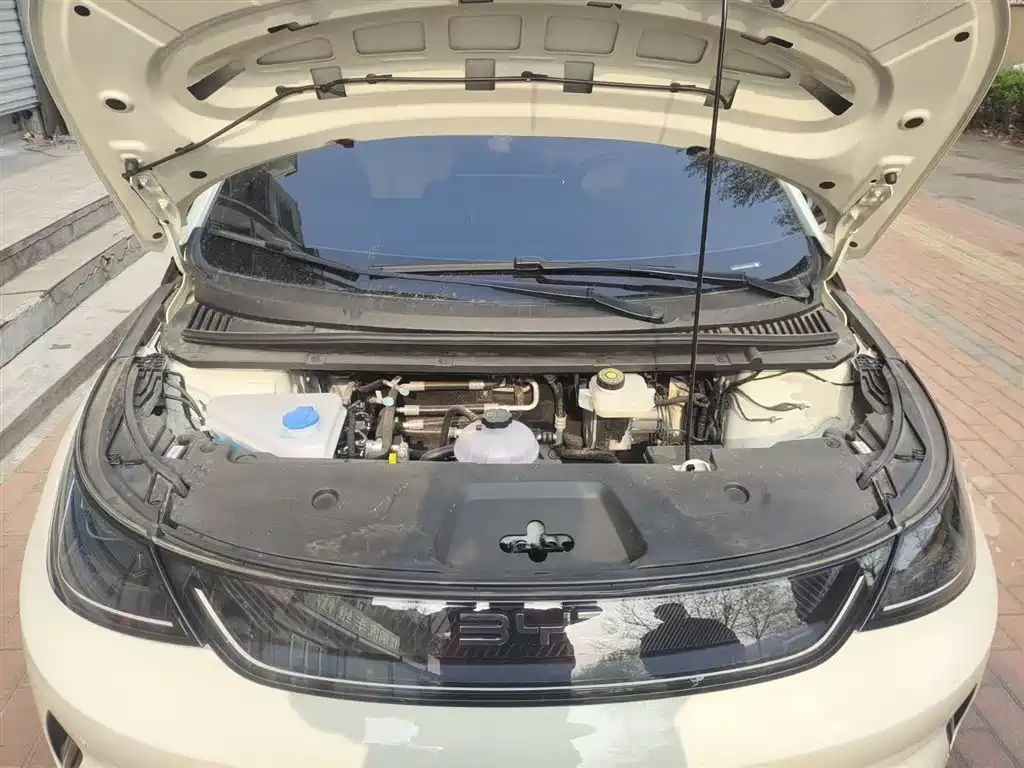 BYD Dolphin 2025 Smart Drive Edition 420km Freedom Version фото 20