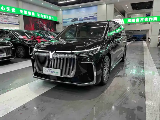 Voyah Auto Voyah Dreamer 2024