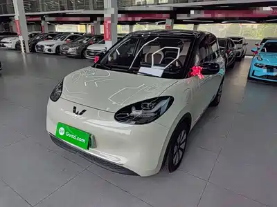 Wuling Bingo