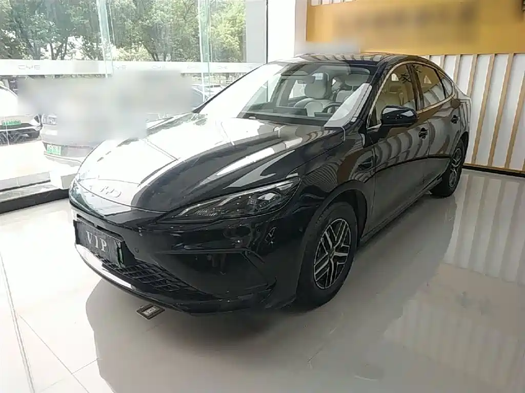 BYD Hai Bao 05 DM-i 2025 DM-i Smart Driving Edition 120KM Flagship фото 2