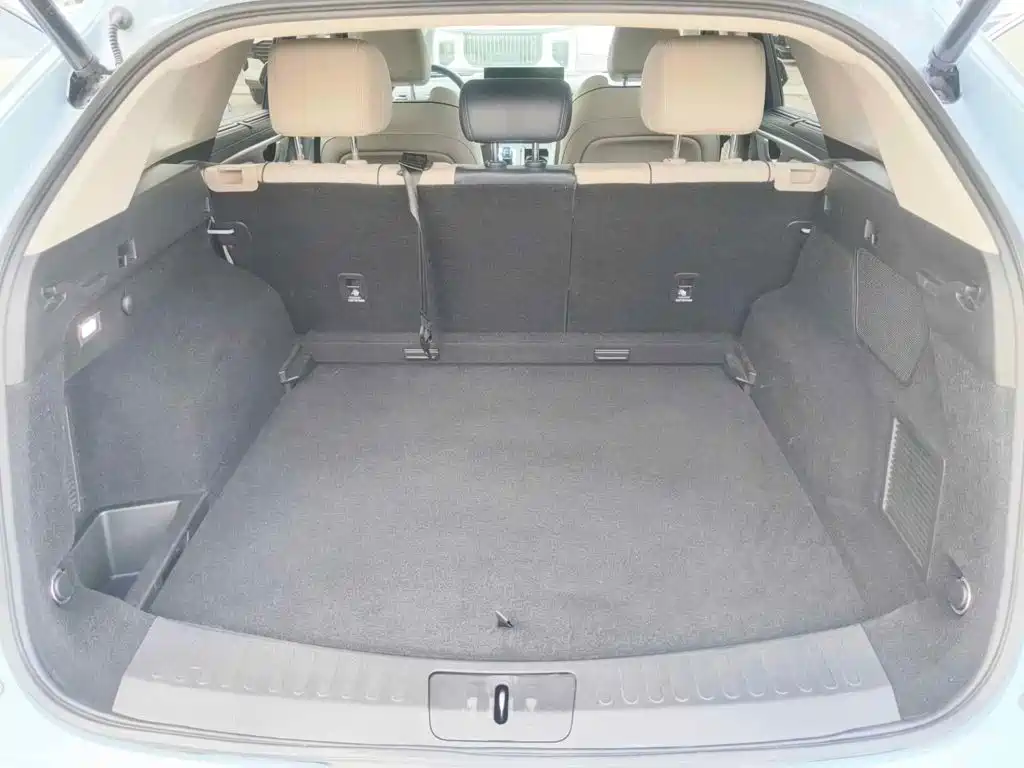 WEY Mocha 2021 2021 2.0T 4WD Premium Edition