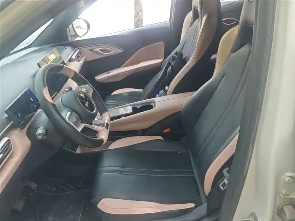 BYD Seagull 2024 Glory Edition 305km Freedom Edition фото 14