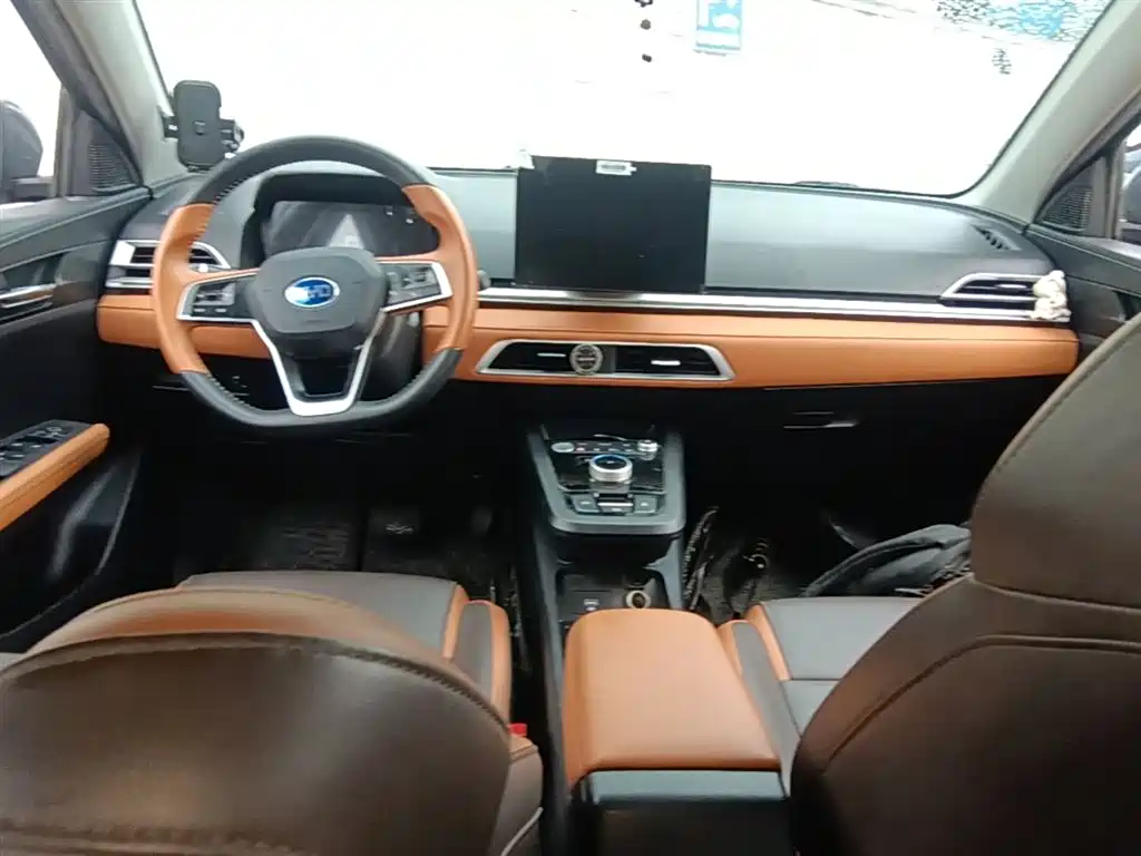 BYD e2 2021 Luxury Edition фото 10