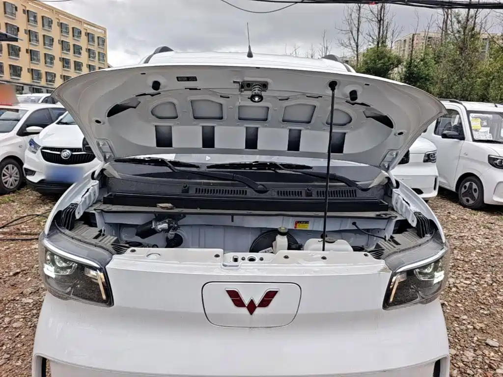 Wuling Motors Wuling Zhiguang NEV 2026 2025 Model 305km Base Version