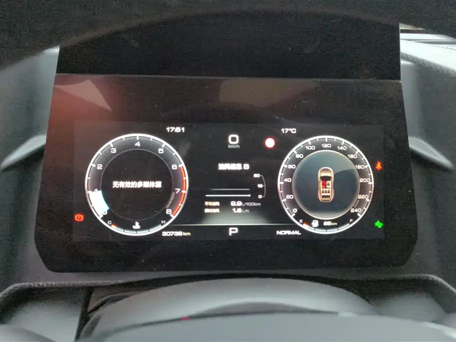 Haval Big Dog 2022 1.5T DCT FWD Border Collie Edition фото 14