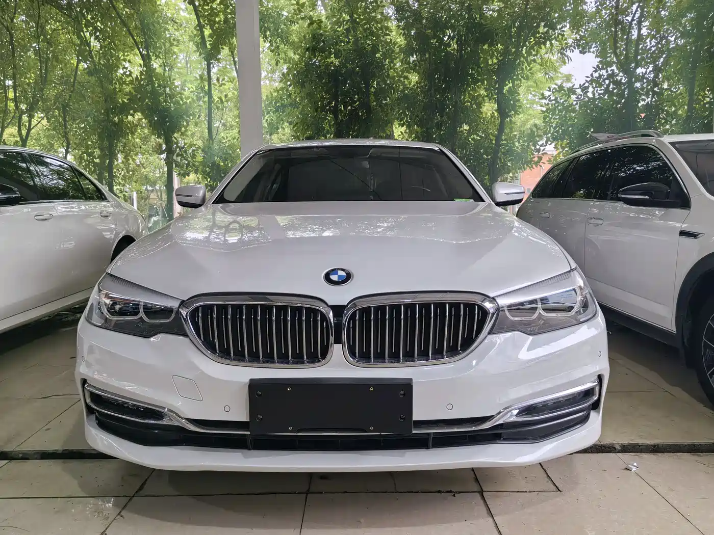 BMW 5 Series 2019 530Li Leading Luxury Package фото 2