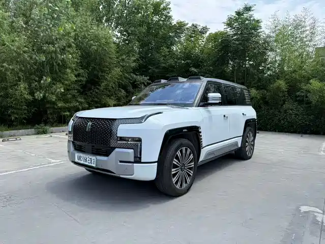  Yangwang Yangwang U8 2023 Luxury Edition