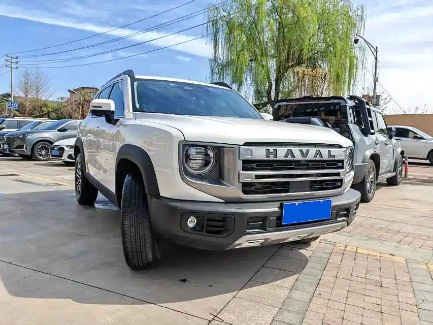 HAVAL BIG DOG