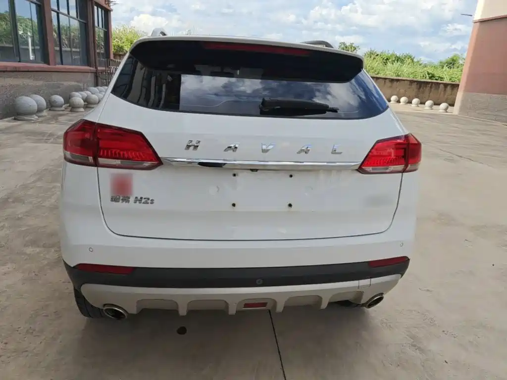 صورة 6 - Haval H2s