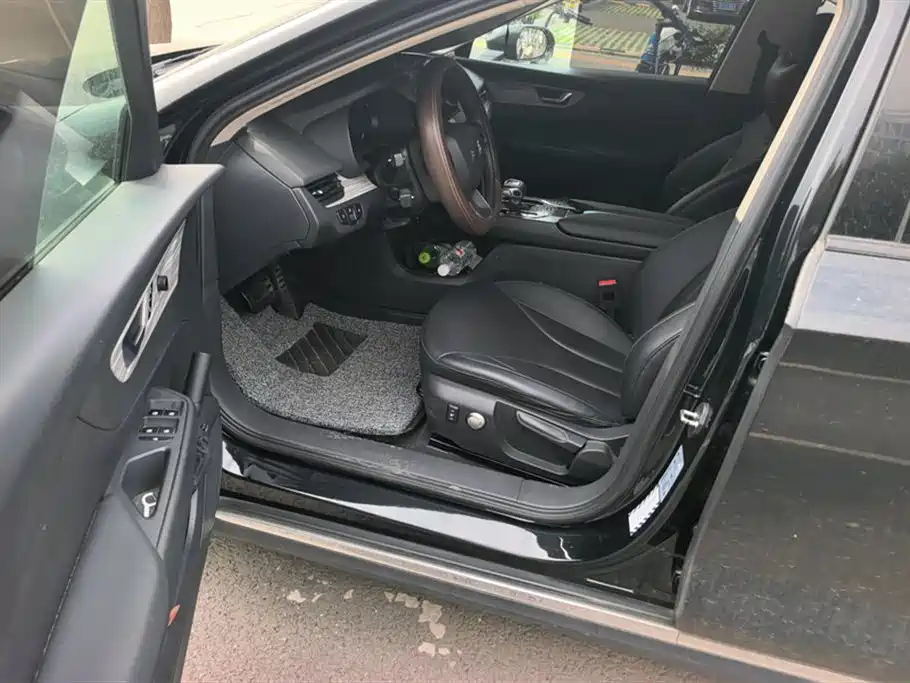 Hongqi E-QM5 2023 620km PLUS фото 9