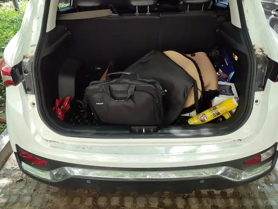 Soueast DX5 2019 2019 1.5T CVT Luxury
