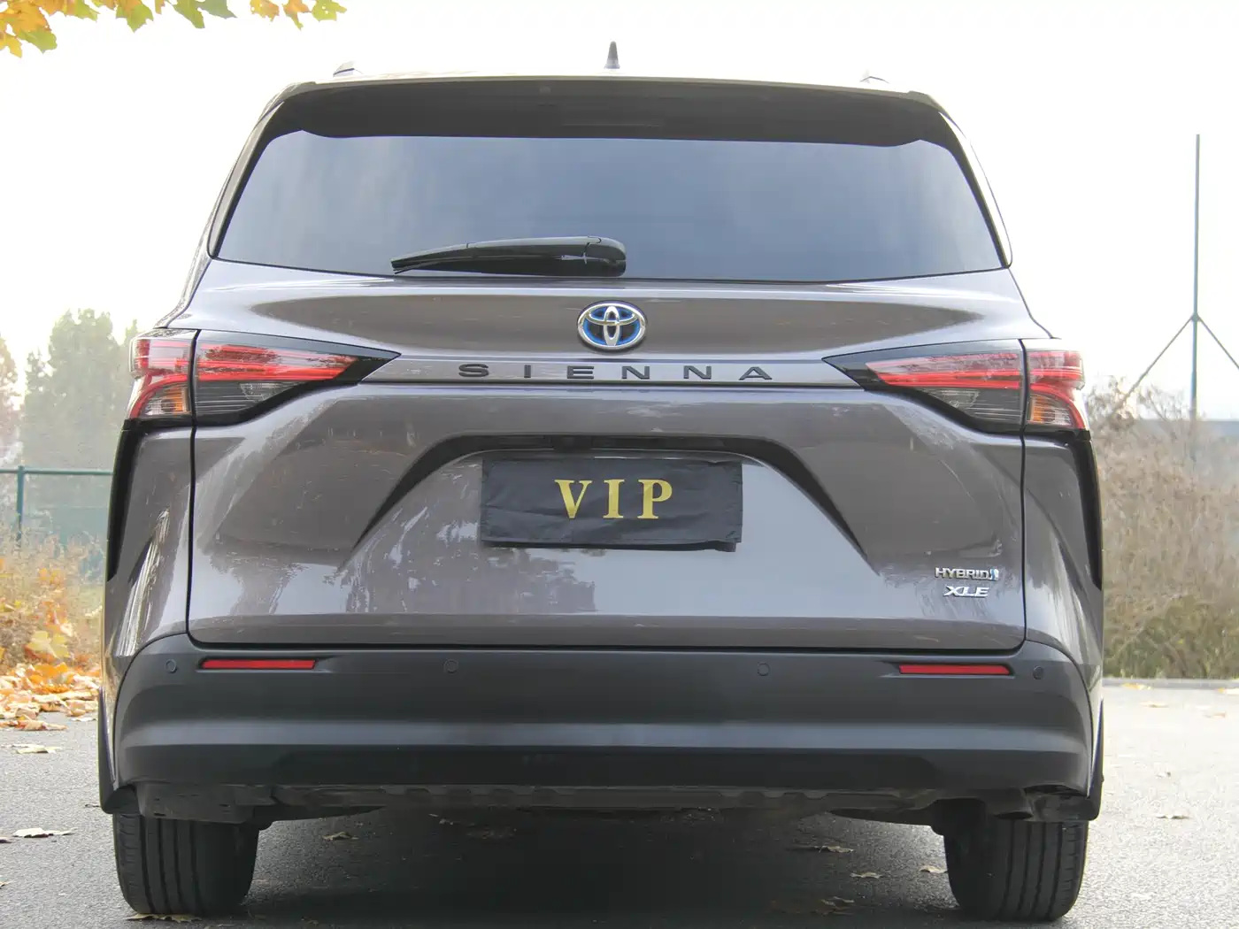 Toyota Sienna 2021 2.5L Hybrid Platinum Edition фото 5