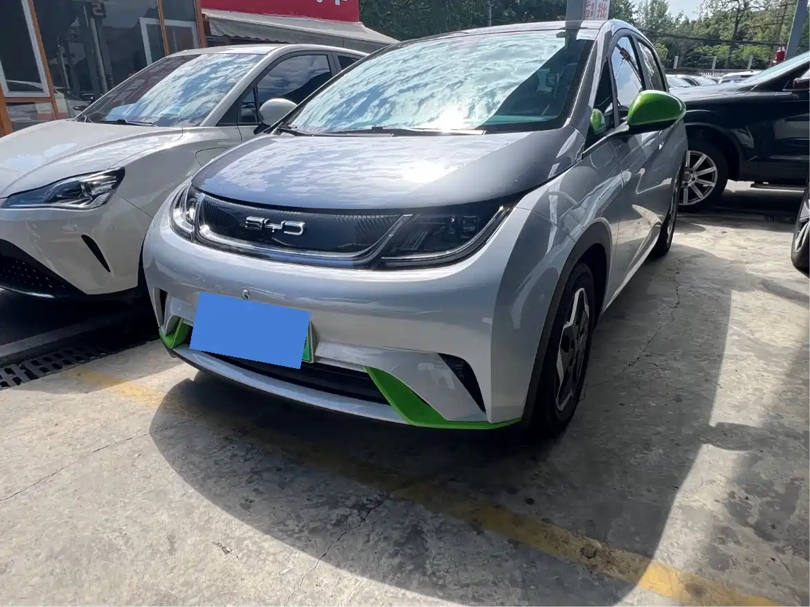 BYD Dolphin 2021 Model 405km Fashion Edition
