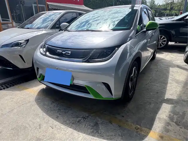 BYD Dolphin 2021 Model 405km Fashion Edition