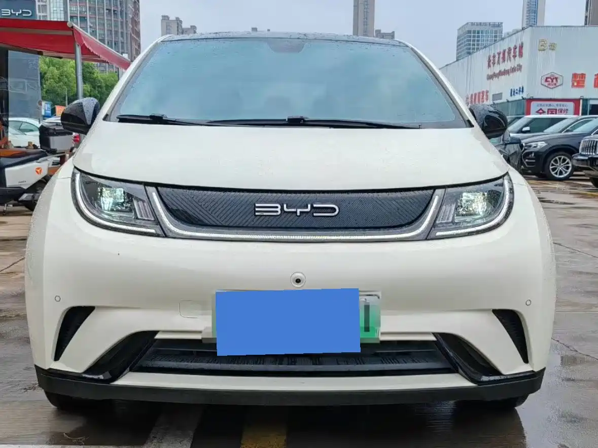 BYD Dolphin 2023 420km Fashion Edition фото 2