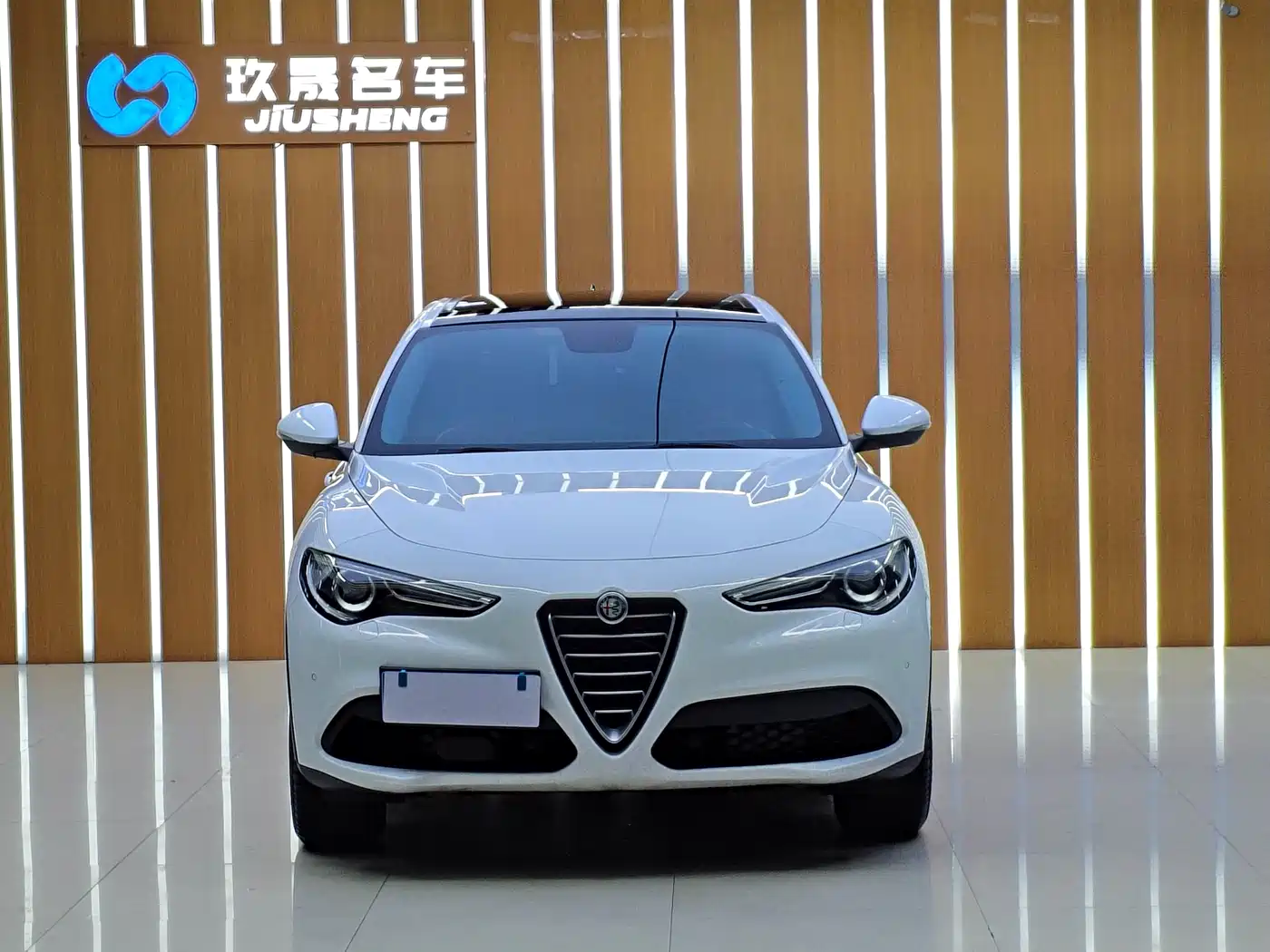Alfa Romeo Stelvio 2019 2017 2.0T 200HP Elite