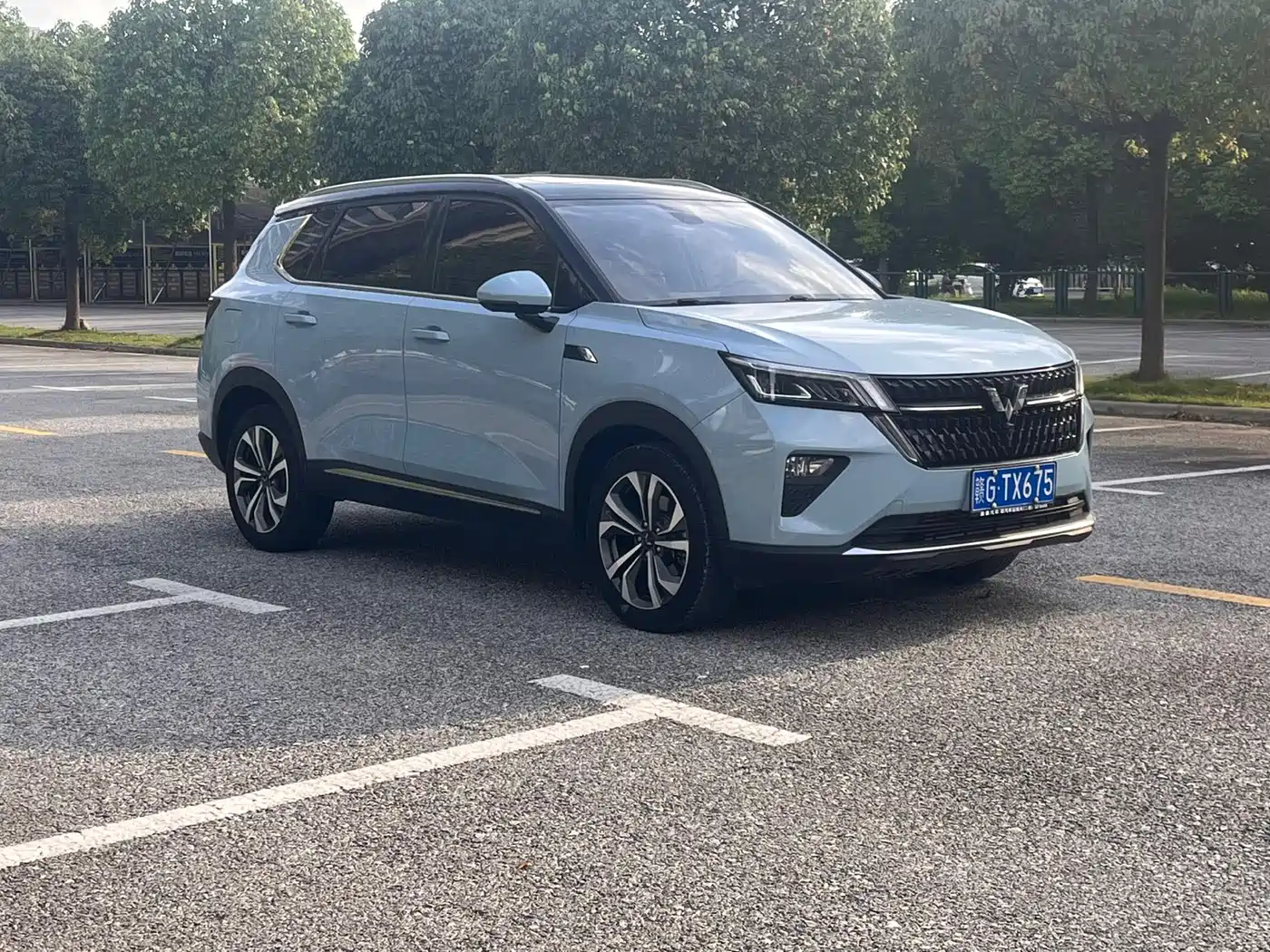 Фото 8 - Wuling Motors Wuling Xingchen