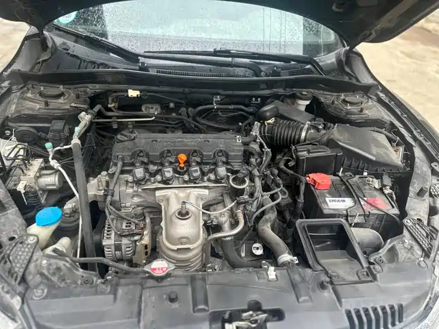 Honda Spirior 2017 2.0L Classic Edition — фото 3