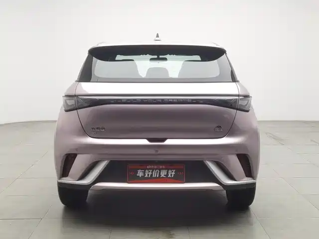 BYD Dolphin 2021 405km Freedom Edition — фото 4