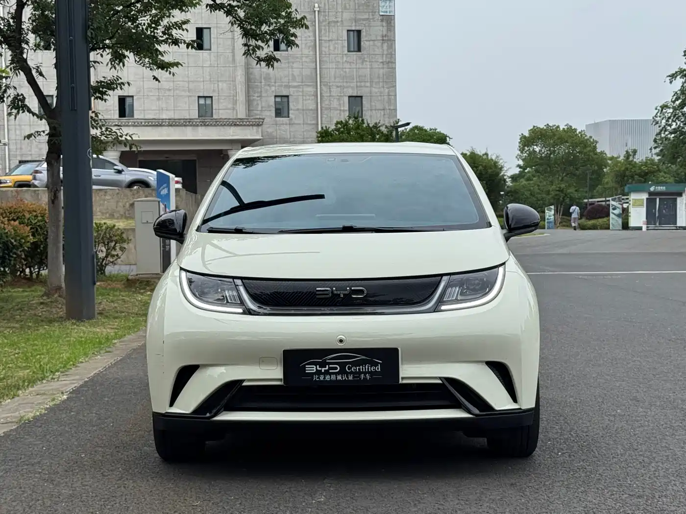 BYD Dolphin 2025 420km Freedom Edition фото 2