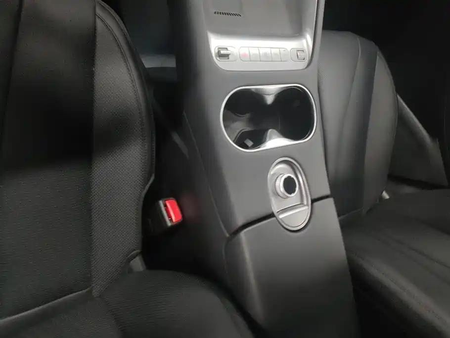 BYD SEA LION 06 NEW ENERGY