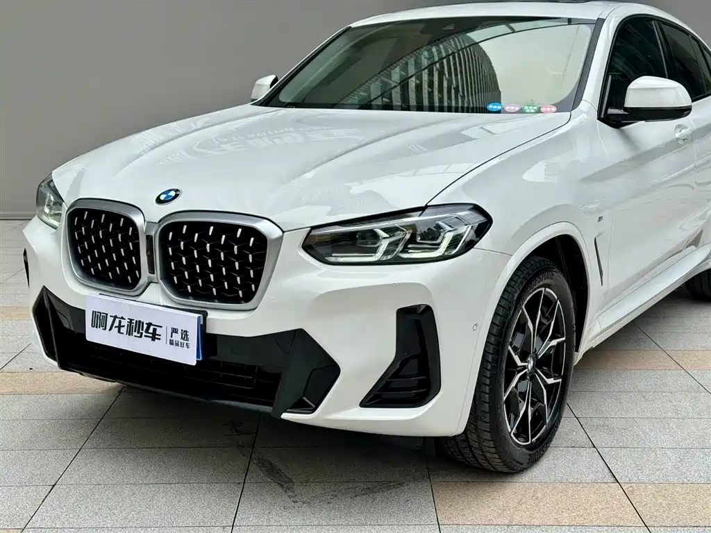 BMW X4 2024 2022 xDrive 25i M Sport Package