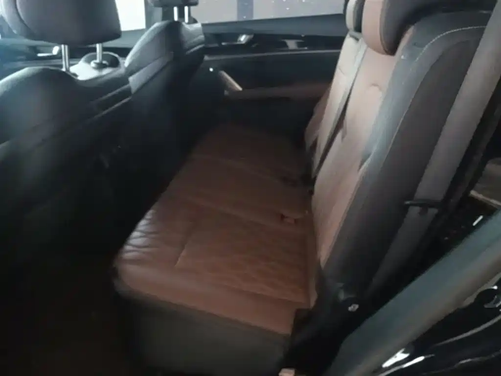 BYD Tang New Energy 2021 DM-i 112KM Premium фото 17