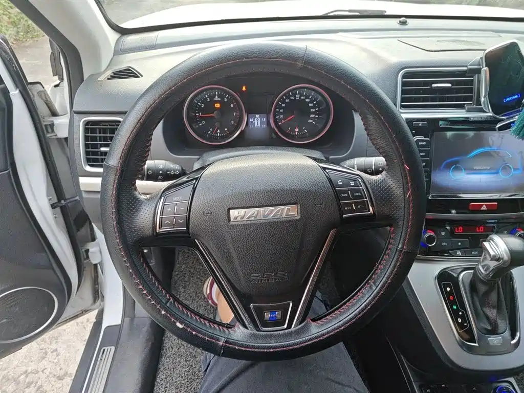 Haval H6 2017 Blue Label Sport 1.5T Auto 2WD Luxury фото 3