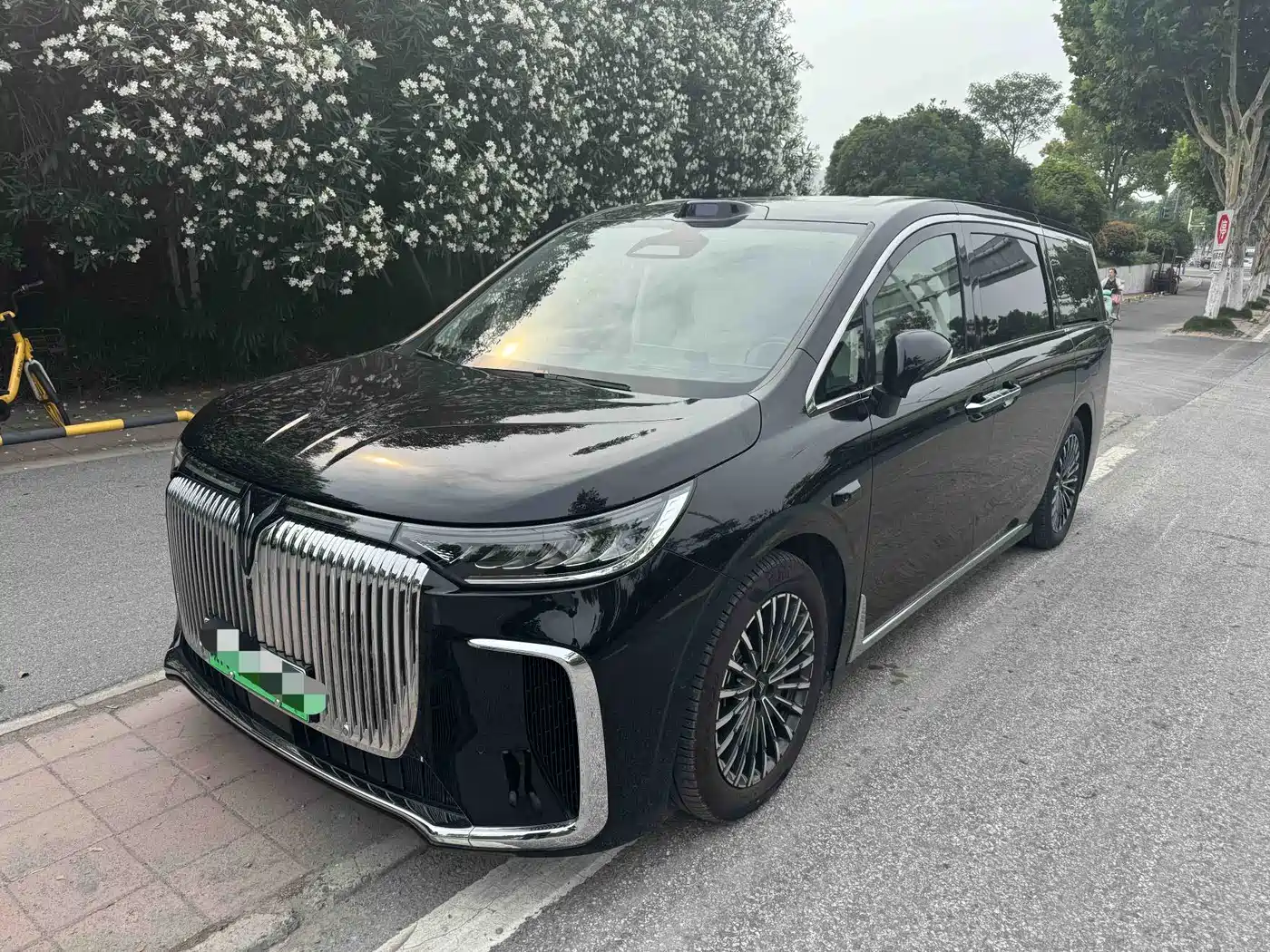 Voyah Auto Voyah Dreamer 2025 Model PHEV Basic Version